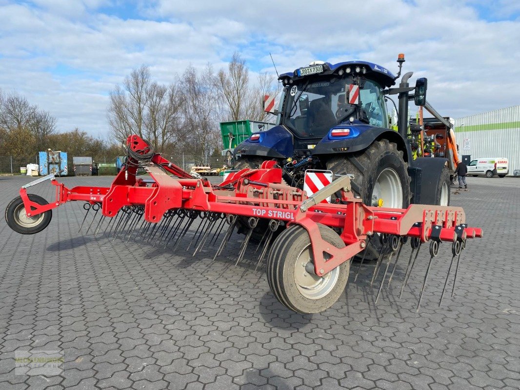 Striegel Türe ait HE-VA Top Striegel 600, Gebrauchtmaschine içinde Mühlengeez (resim 4)