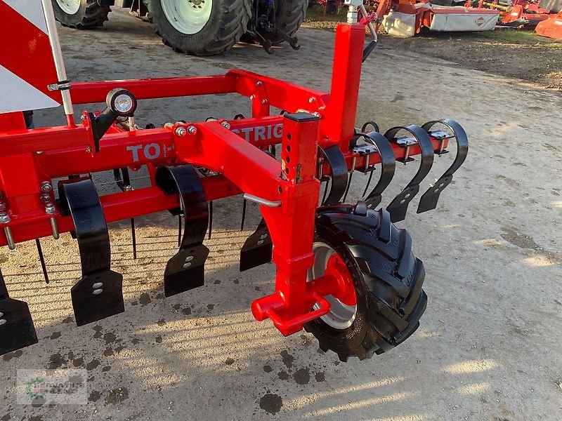 Striegel типа HE-VA Top-Striegel Front mit 6m Arbeitsbreite, Gebrauchtmaschine в Rittersdorf (Фотография 4)