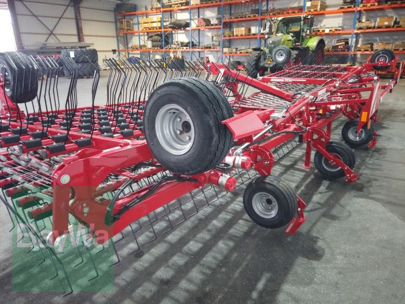 Striegel of the type Horsch CURA 12 ST HORSCH STRIEGEL, Gebrauchtmaschine in Erbach (Picture 13)