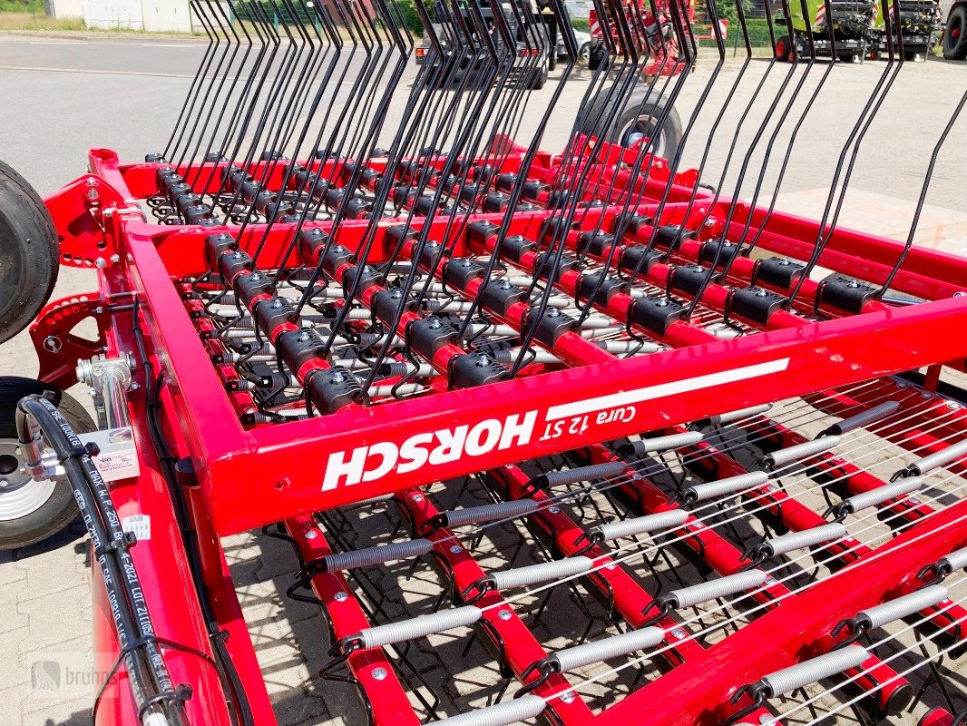 Striegel des Typs Horsch CURA 12 ST - Vorführgerät, Gebrauchtmaschine in Karstädt (Bild 11)