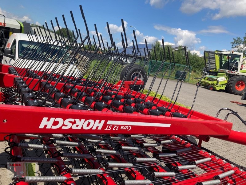 Striegel des Typs Horsch Cura 12 ST, Neumaschine in Alveslohe (Bild 10)