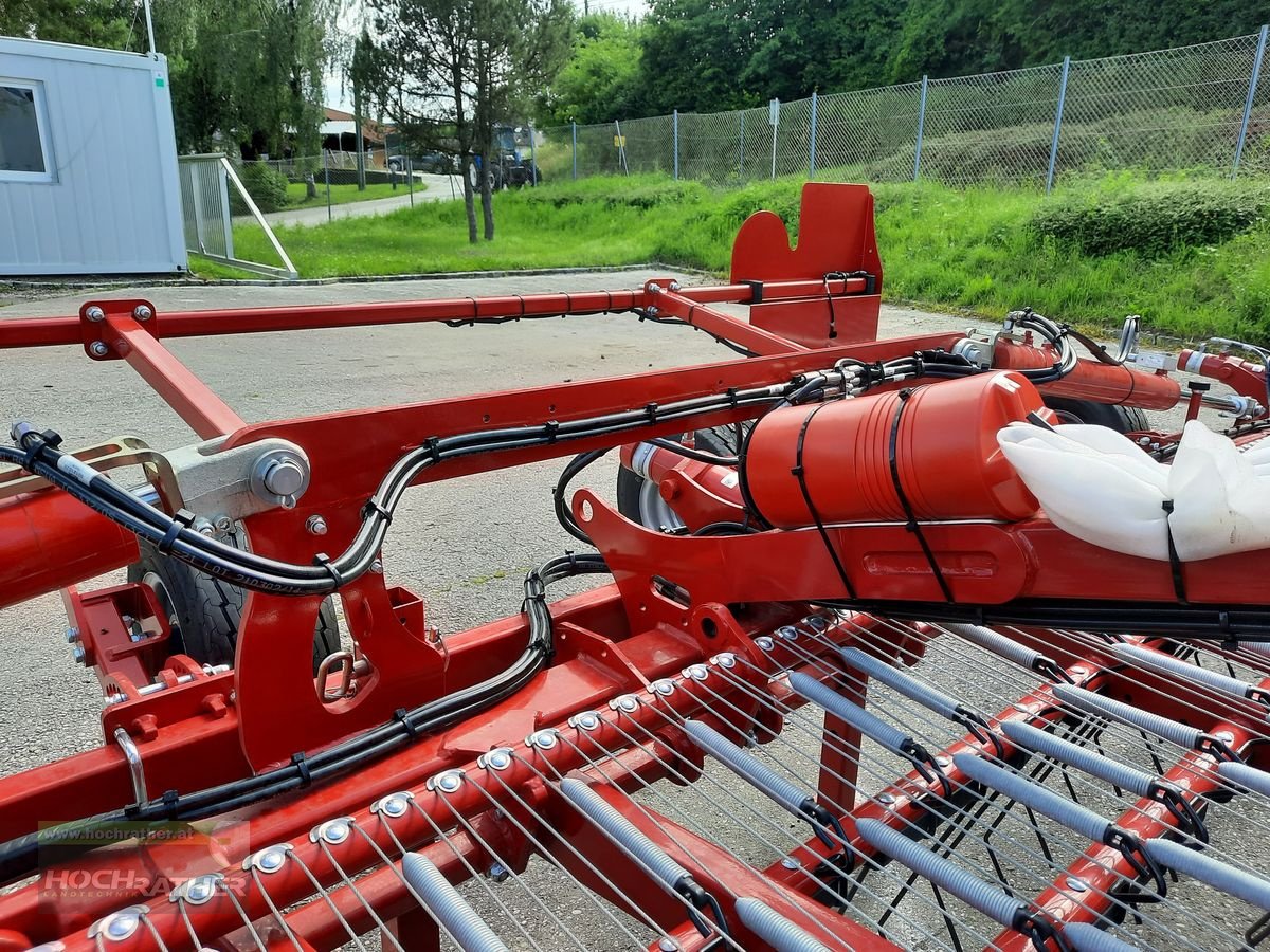 Striegel типа Horsch Cura 12 ST, Neumaschine в Kronstorf (Фотография 14)