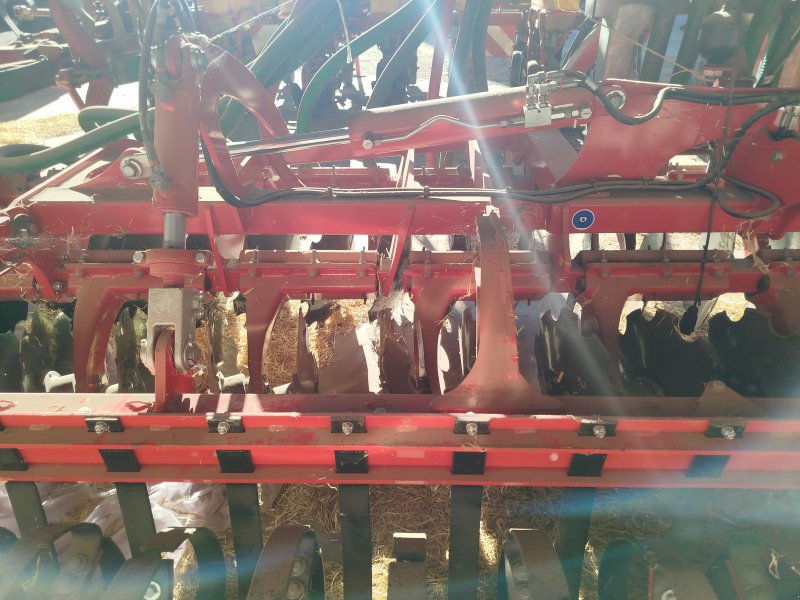 Striegel of the type Horsch Cura 12 ST, Gebrauchtmaschine in Gissigheim (Picture 1)