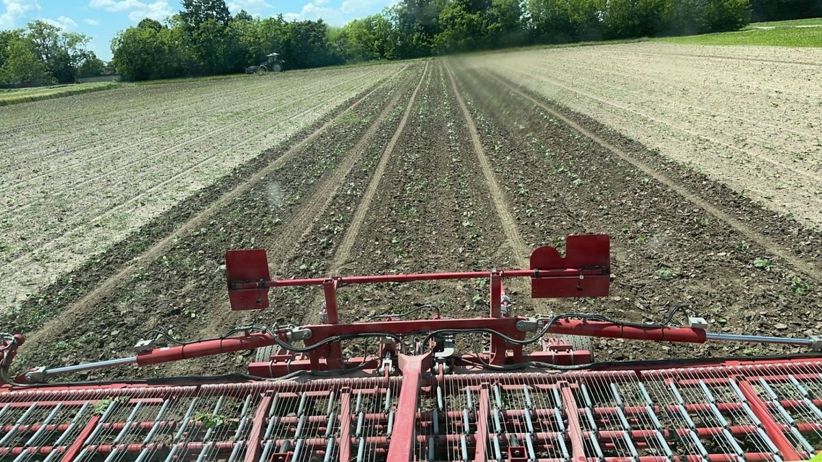 Striegel Türe ait Horsch Cura 9 ST, Vorführmaschine içinde Mistelbach (resim 5)