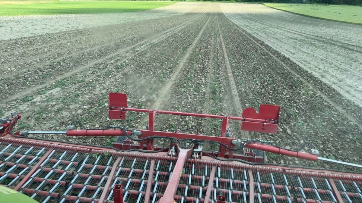 Striegel Türe ait Horsch Cura 9 ST, Vorführmaschine içinde Mistelbach (resim 4)