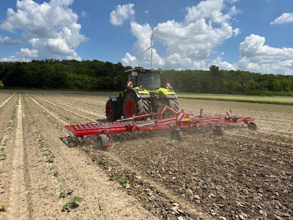 Striegel Türe ait Horsch Cura 9 ST, Vorführmaschine içinde Mistelbach (resim 2)