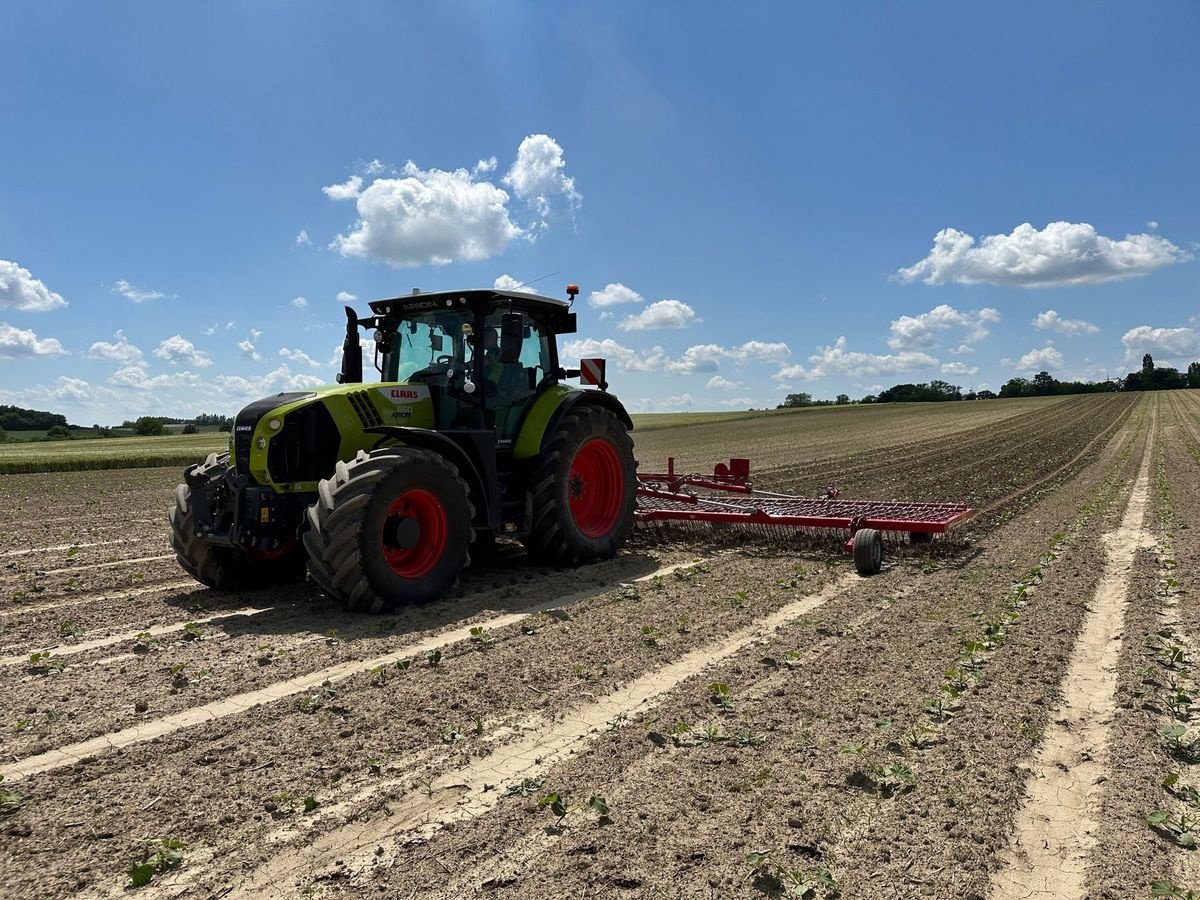 Striegel Türe ait Horsch Cura 9 ST, Vorführmaschine içinde Mistelbach (resim 3)