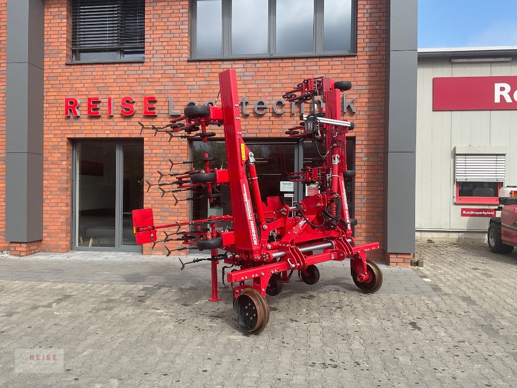 Striegel Türe ait Horsch TRANSFORMER 6 VF, Gebrauchtmaschine içinde Lippetal / Herzfeld (resim 2)