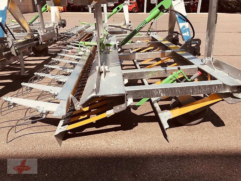 Striegel Türe ait Joskin EB-R4S2 540, Neumaschine içinde Oederan (resim 3)