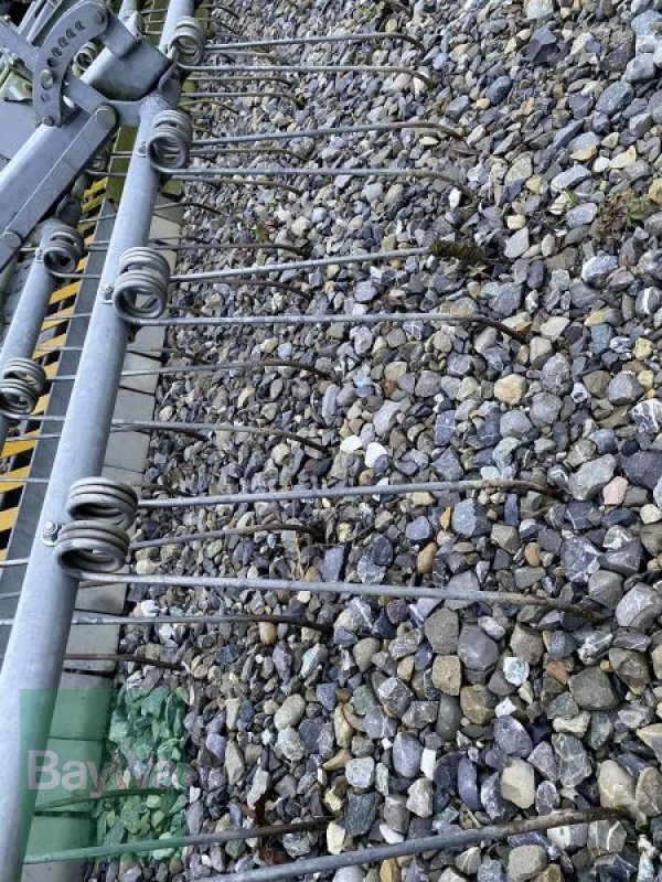 Striegel des Typs Joskin Sonstiges, Gebrauchtmaschine in Altshausen (Bild 7)