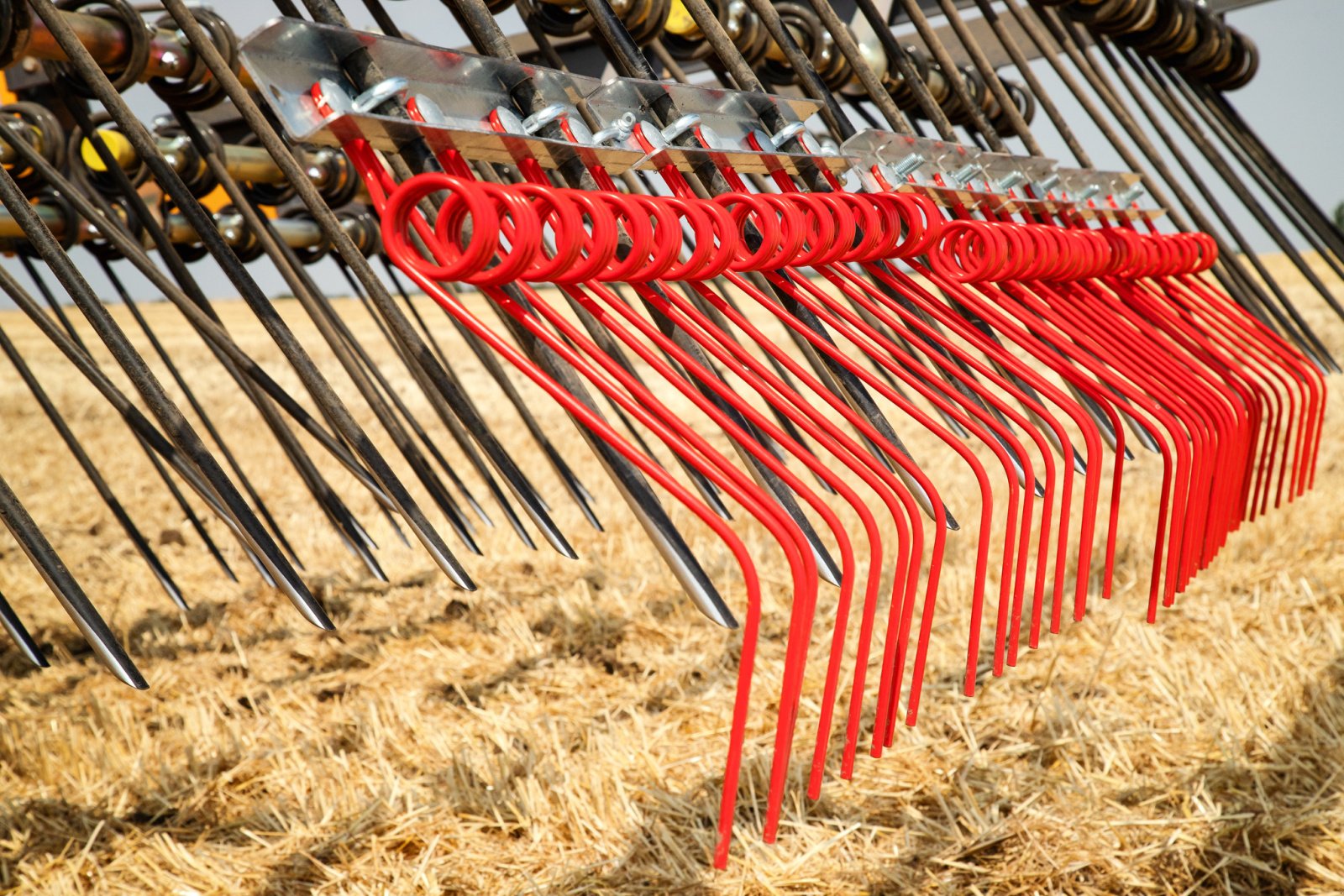 Striegel Türe ait K. Wallner Strohstriegel, Neumaschine içinde Roßbach/Münchsdorf (resim 12)