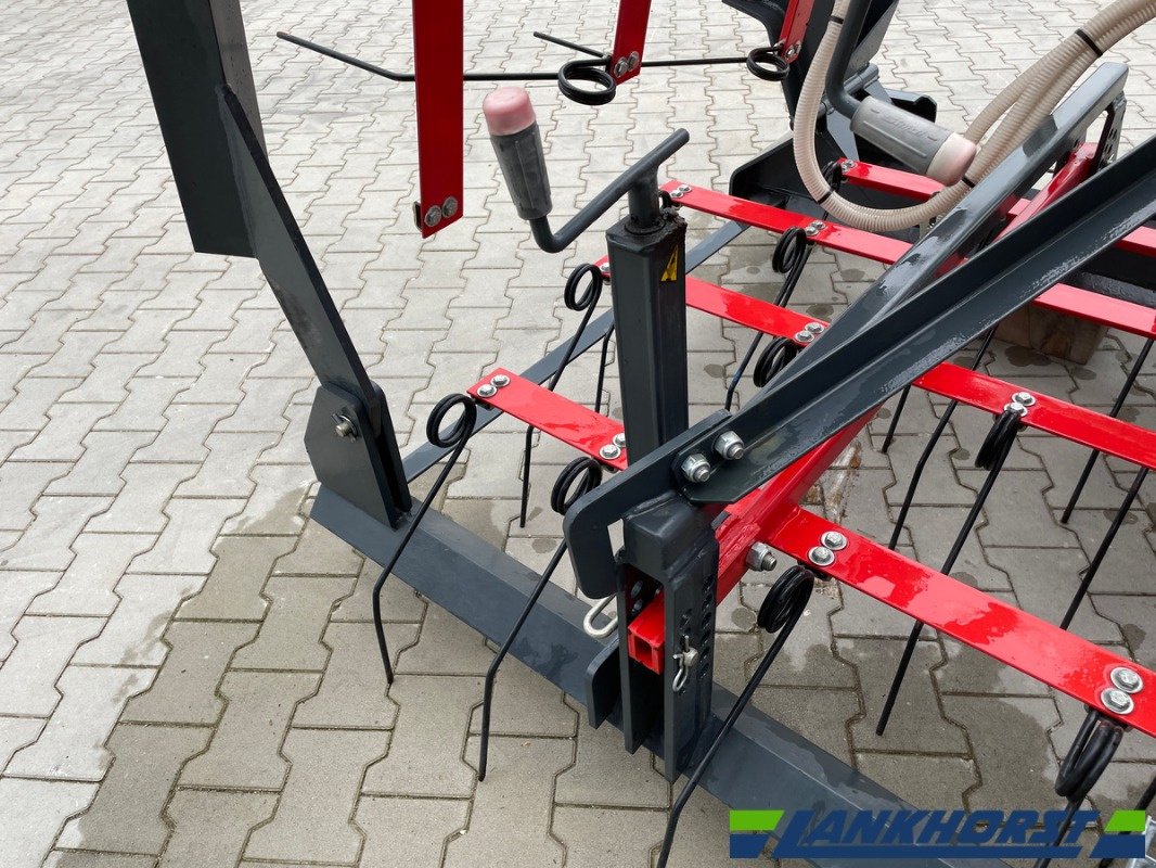 Striegel Türe ait Saphir GS 602, Gebrauchtmaschine içinde Emsbüren (resim 7)