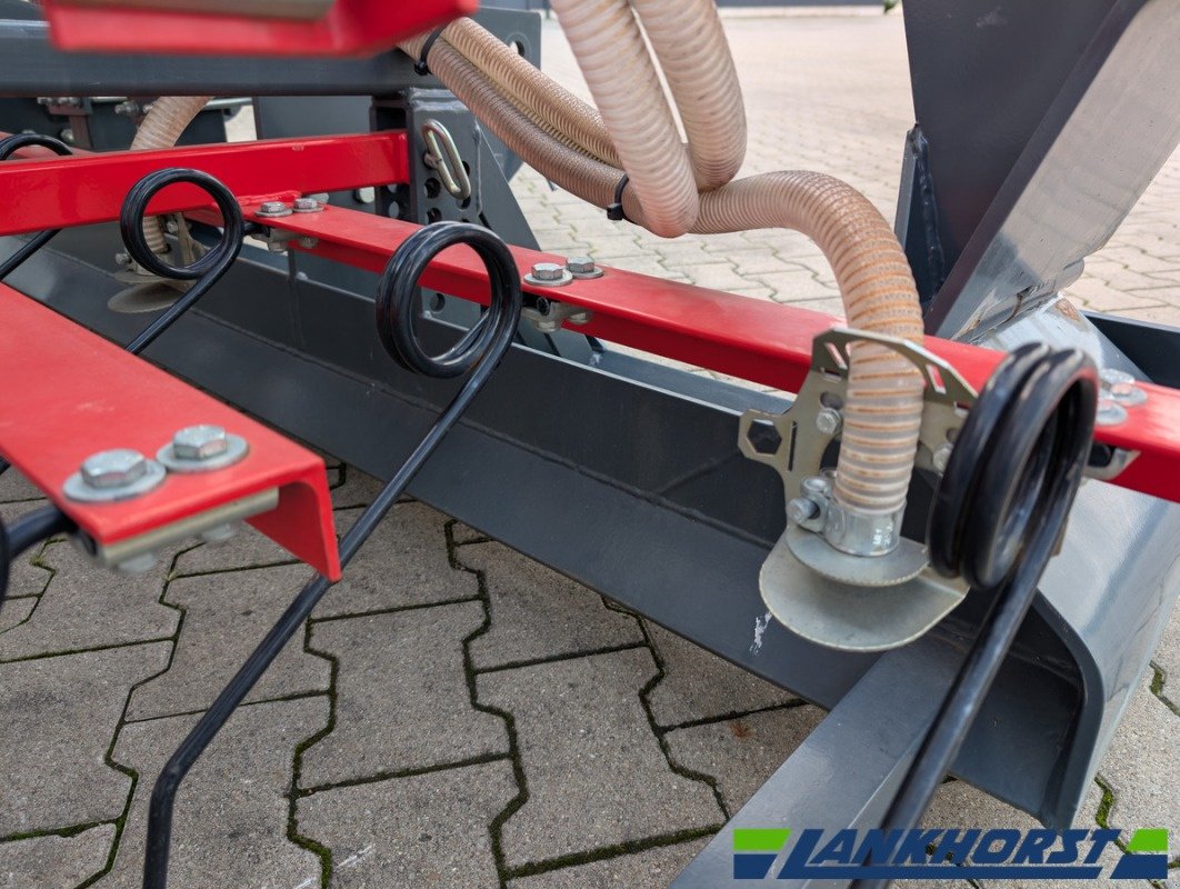 Striegel Türe ait Saphir GS 602, Gebrauchtmaschine içinde Emsbüren (resim 10)