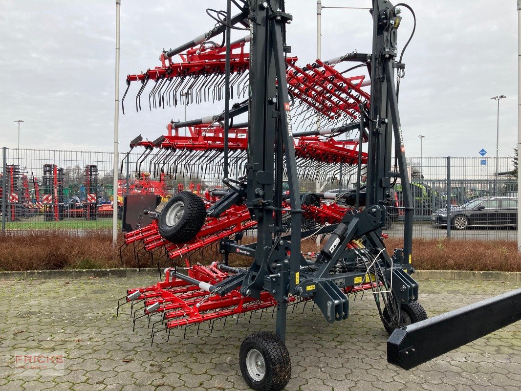 Striegel Türe ait Saphir Weedstar 1200 Ackerstriegel, Neumaschine içinde Bockel - Gyhum (resim 3)