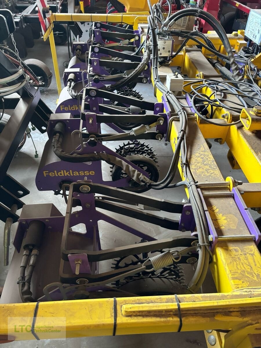 Striegel Türe ait Sonstige Pacorel Feldklasse, Gebrauchtmaschine içinde Korneuburg (resim 5)