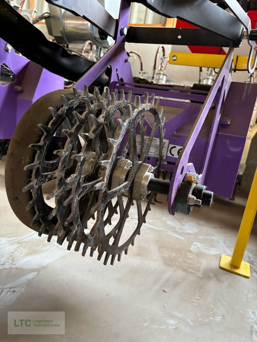 Striegel Türe ait Sonstige Pacorel Feldklasse, Gebrauchtmaschine içinde Korneuburg (resim 7)