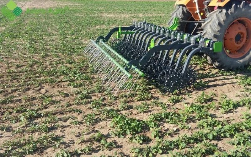 Striegel typu Sonstige Rollhacke Avers-AgrarKerne, Neumaschine v Waldburg (Obrázek 18)