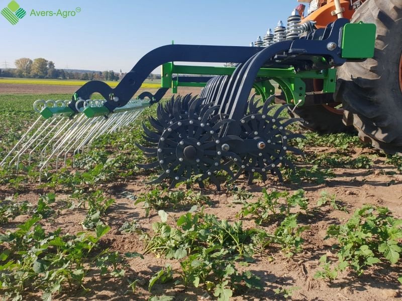 Striegel του τύπου Sonstige Rollstriegel AgrarKerne, Neumaschine σε Waldburg (Φωτογραφία 2)