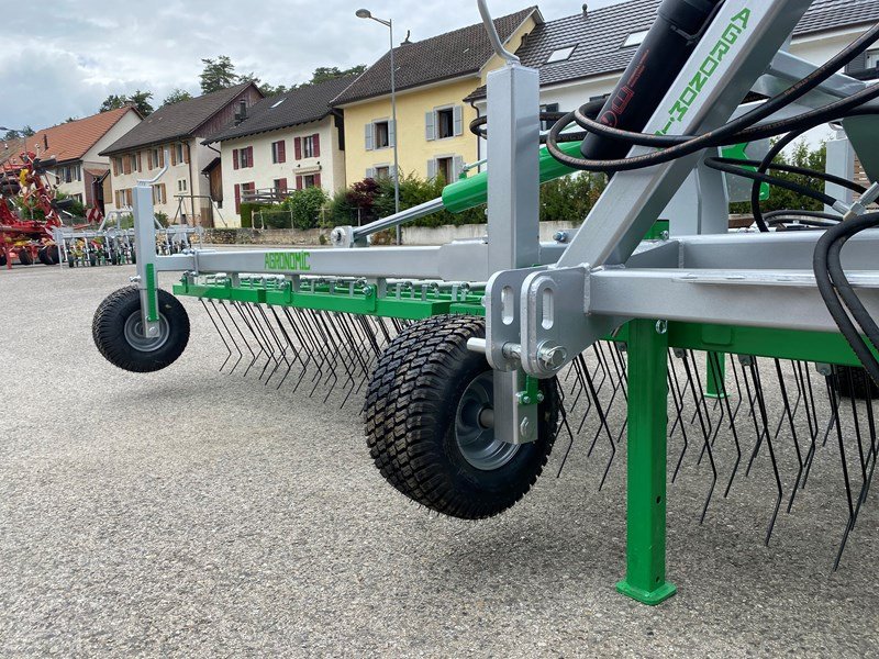 Striegel tipa Sonstige Sonstiges, Neumaschine u Courtedoux (Slika 4)