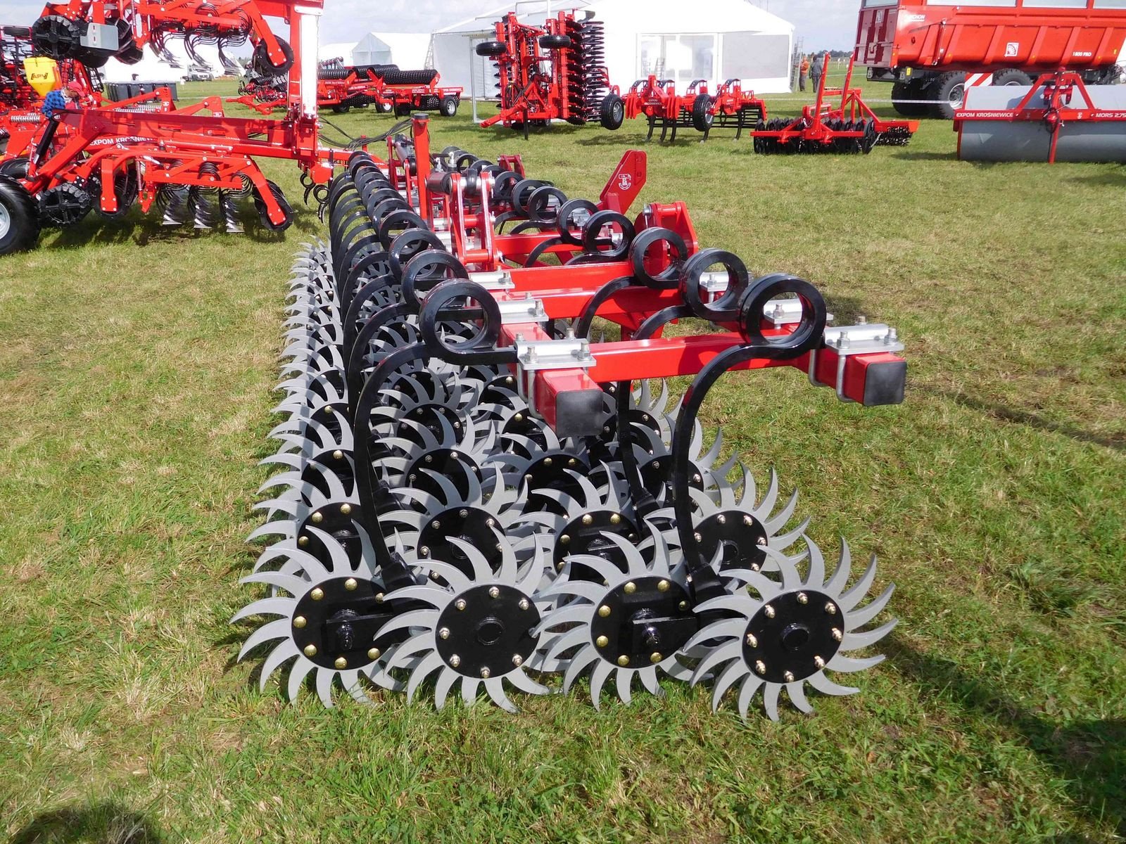 Striegel des Typs Sonstige Sternhacke Astra, Neumaschine in Apetlon (Bild 1)