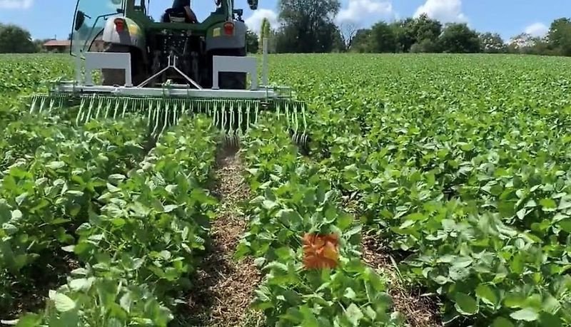 Striegel Türe ait Sonstige Unkrautbekämpfung Unkrautmaschine Striegel Hacke Weihnachtsbaum, Gebrauchtmaschine içinde Schmallenberg (resim 9)