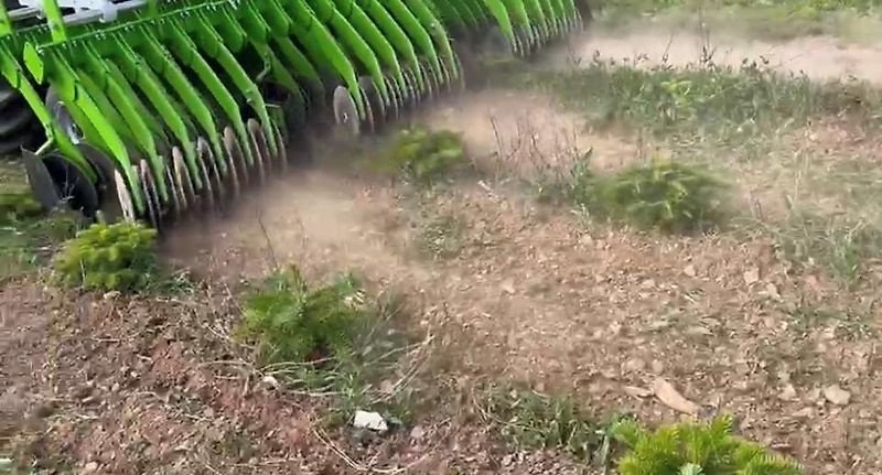 Striegel Türe ait Sonstige Unkrautbekämpfung Unkrautmaschine Striegel Hacke Weihnachtsbaum, Gebrauchtmaschine içinde Schmallenberg (resim 15)