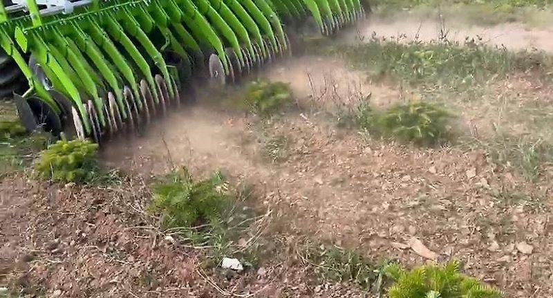 Striegel Türe ait Sonstige Unkrautmaschine Rollhacke Rollstriegel Striegel Hacke, Gebrauchtmaschine içinde Schmallenberg (resim 4)