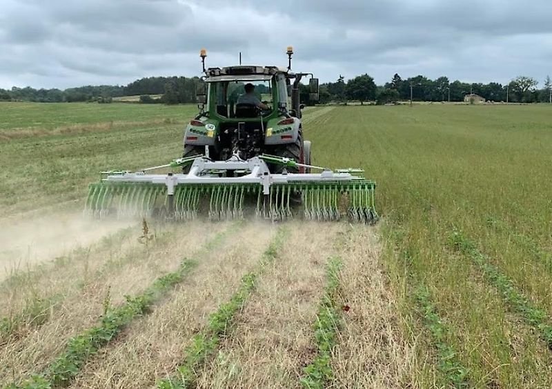 Striegel Türe ait Sonstige Unkrautmaschine Rollhacke Rollstriegel Striegel Hacke, Gebrauchtmaschine içinde Schmallenberg (resim 1)