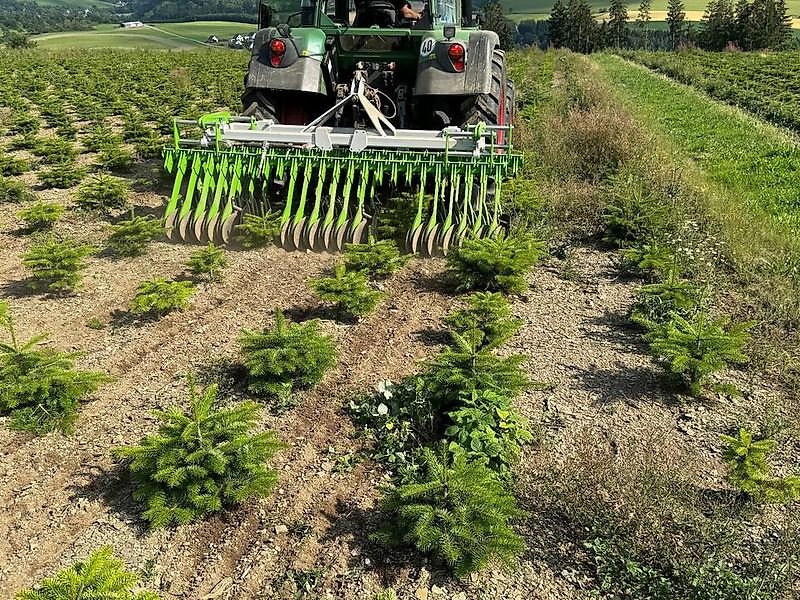 Striegel des Typs Sonstige Unkrautmaschine Weihnachtsbäume Mais Striegel Hacke Rollhacke, Gebrauchtmaschine in Schmallenberg (Bild 16)