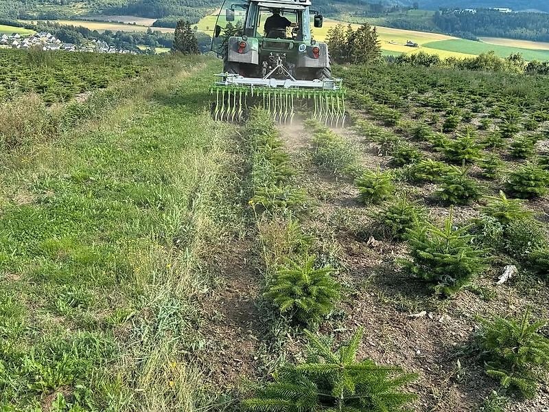Striegel des Typs Sonstige Unkrautregulierungsmaschine für Weihnachtsbäume Mais Striegel, Gebrauchtmaschine in Schmallenberg (Bild 3)