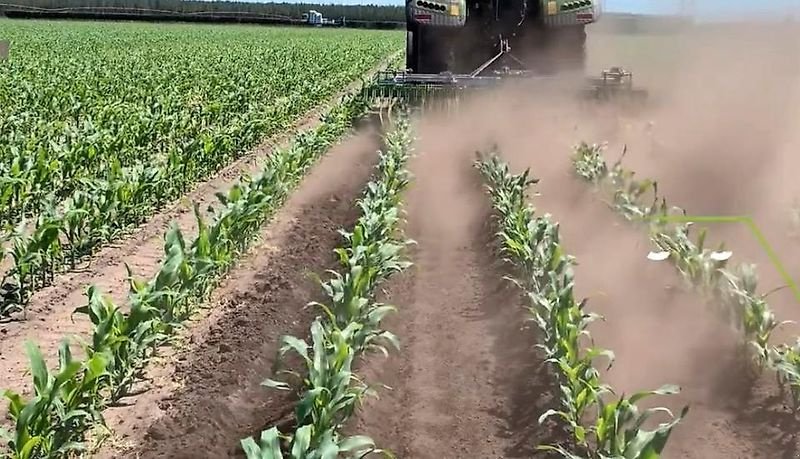 Striegel des Typs Sonstige Unkrautregulierungsmaschine für Weihnachtsbäume Mais Striegel, Gebrauchtmaschine in Schmallenberg (Bild 18)