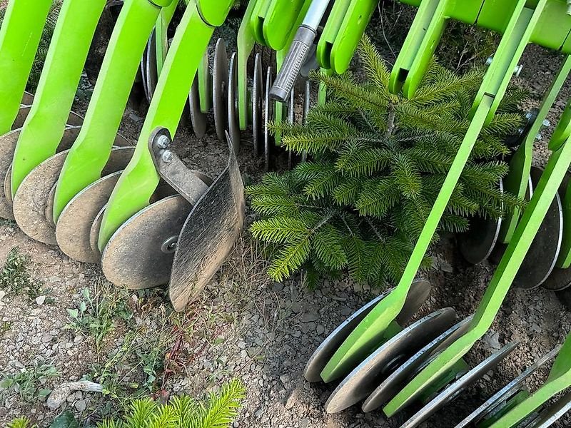 Striegel des Typs Sonstige Unkrautregulierungsmaschine für Weihnachtsbäume Mais Striegel, Gebrauchtmaschine in Schmallenberg (Bild 17)