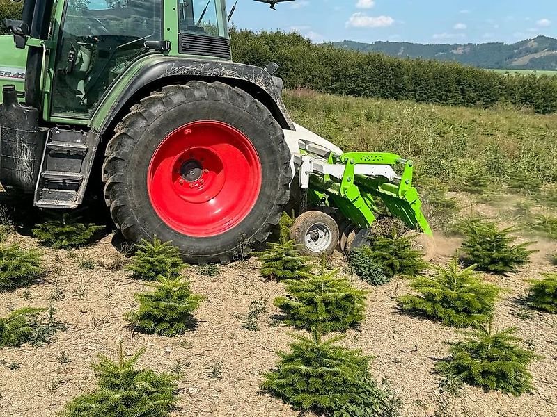 Striegel des Typs Sonstige Unkrautregulierungsmaschine für Weihnachtsbäume Mais Striegel, Gebrauchtmaschine in Schmallenberg (Bild 13)