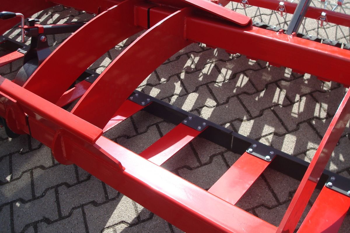 Striegel Türe ait Sonstige Weidenbelüfter 6m, Neumaschine içinde Judenburg (resim 18)