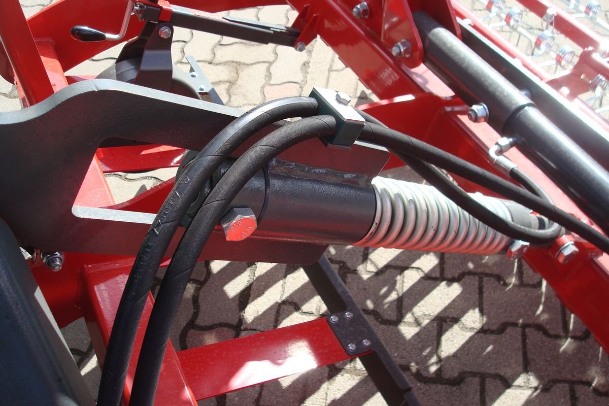 Striegel Türe ait Sonstige Weidenbelüfter 6m, Neumaschine içinde Judenburg (resim 4)