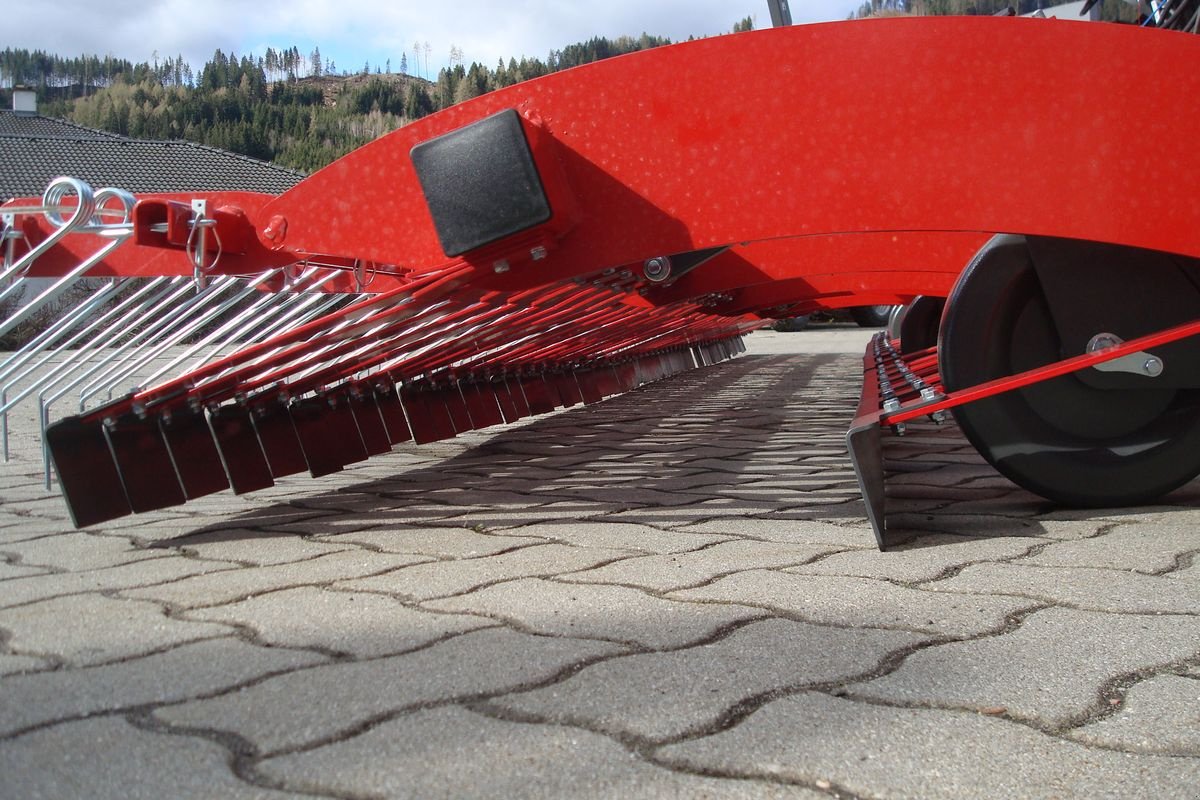 Striegel Türe ait Sonstige Weidenbelüfter 6m, Neumaschine içinde Judenburg (resim 21)