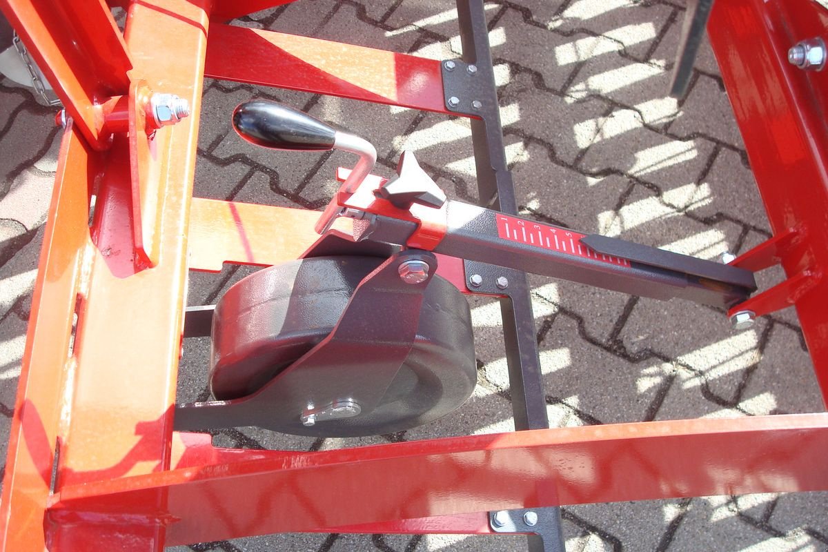 Striegel Türe ait Sonstige Weidenbelüfter 6m, Neumaschine içinde Judenburg (resim 3)