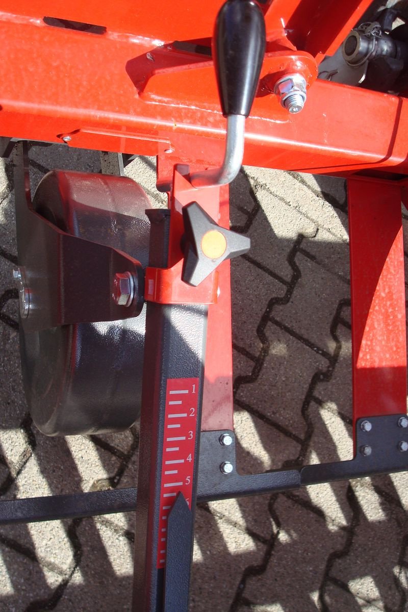 Striegel Türe ait Sonstige Weidenbelüfter 6m, Neumaschine içinde Judenburg (resim 7)