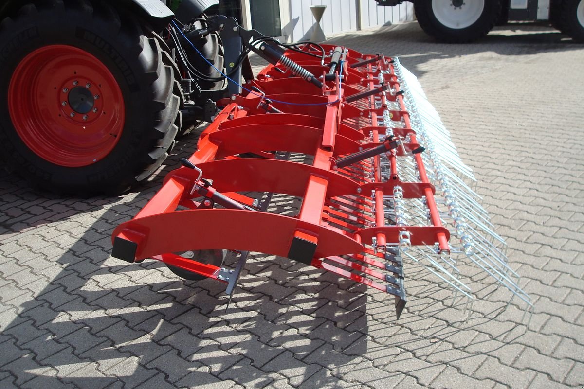 Striegel Türe ait Sonstige Weidenbelüfter 6m, Neumaschine içinde Judenburg (resim 14)