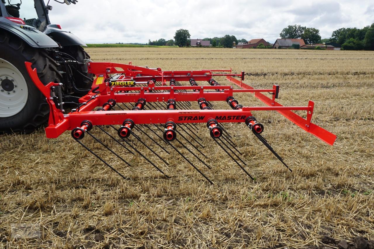 Striegel Türe ait Sonstige Ziegler Straw Master 6001 Strohstriegel, Neumaschine içinde Borken (resim 4)