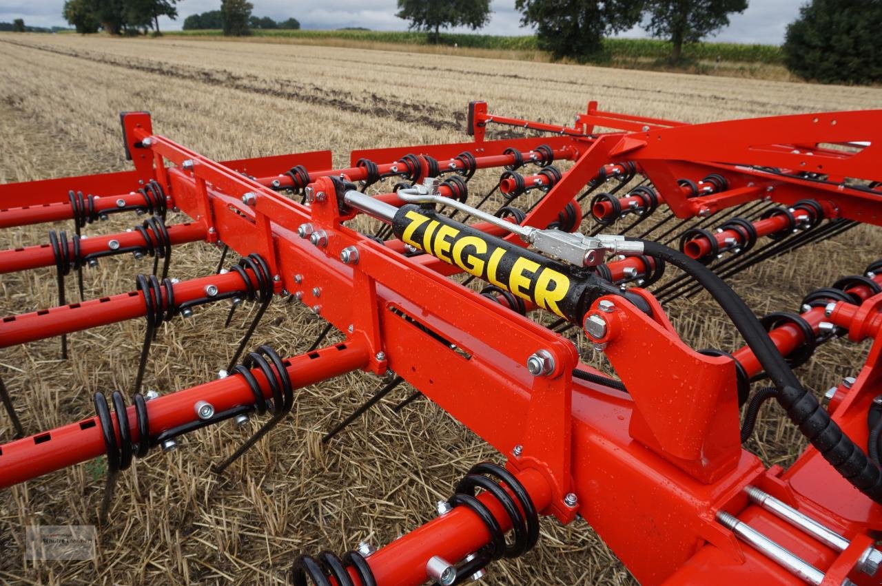 Striegel Türe ait Sonstige Ziegler Straw Master 6001 Strohstriegel, Neumaschine içinde Borken (resim 9)