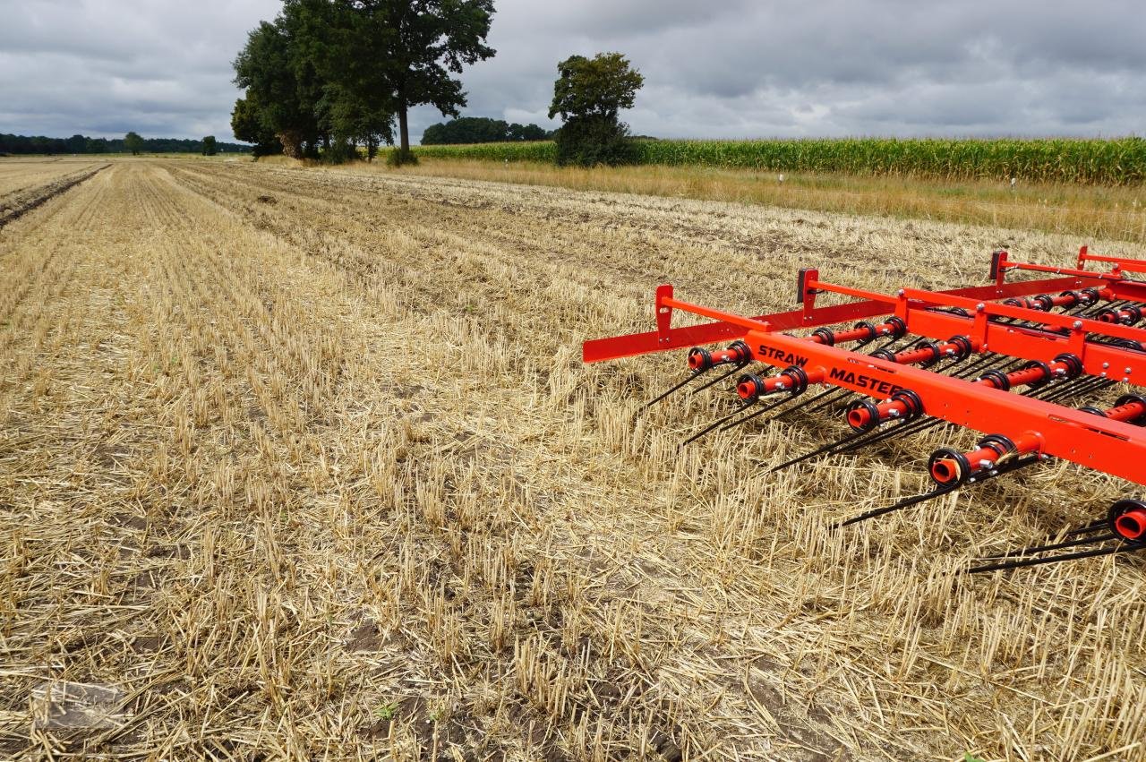 Striegel Türe ait Sonstige Ziegler Straw Master 6001 Strohstriegel, Neumaschine içinde Borken (resim 15)