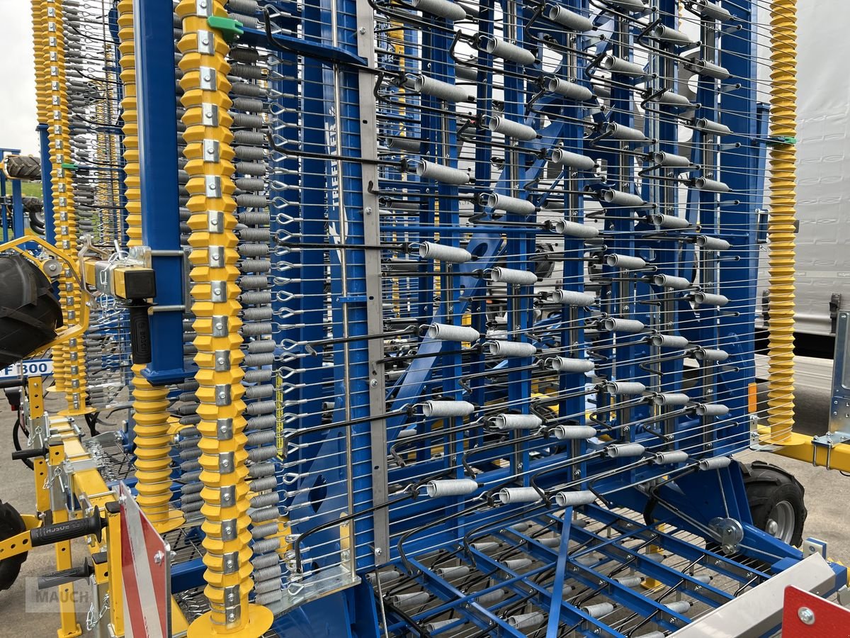 Striegel des Typs Treffler TS1520 HN Präzisions-Zinkenstriegel, Neumaschine in Burgkirchen (Bild 3)