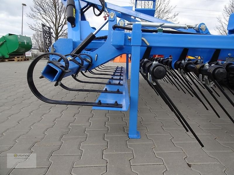 Striegel des Typs Vemac Wiesenstriegel 3m 300cm Grünlandstriegel Striegel Nachsaat NEU, Neumaschine in Sülzetal OT Osterweddingen (Bild 13)