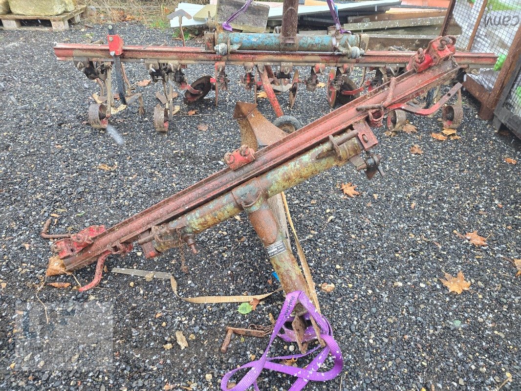 Striegeltechnik & Hacktechnik of the type Accord Hackrahmen Accord 3m, Gebrauchtmaschine in Burg/Spreewald (Picture 3)