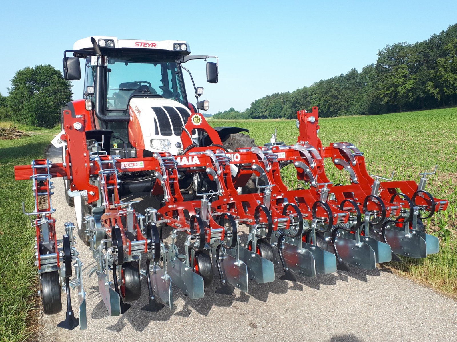 Striegeltechnik & Hacktechnik za tip Badalini Maia Bio Imperial, Gebrauchtmaschine u Laberweinting (Slika 3)