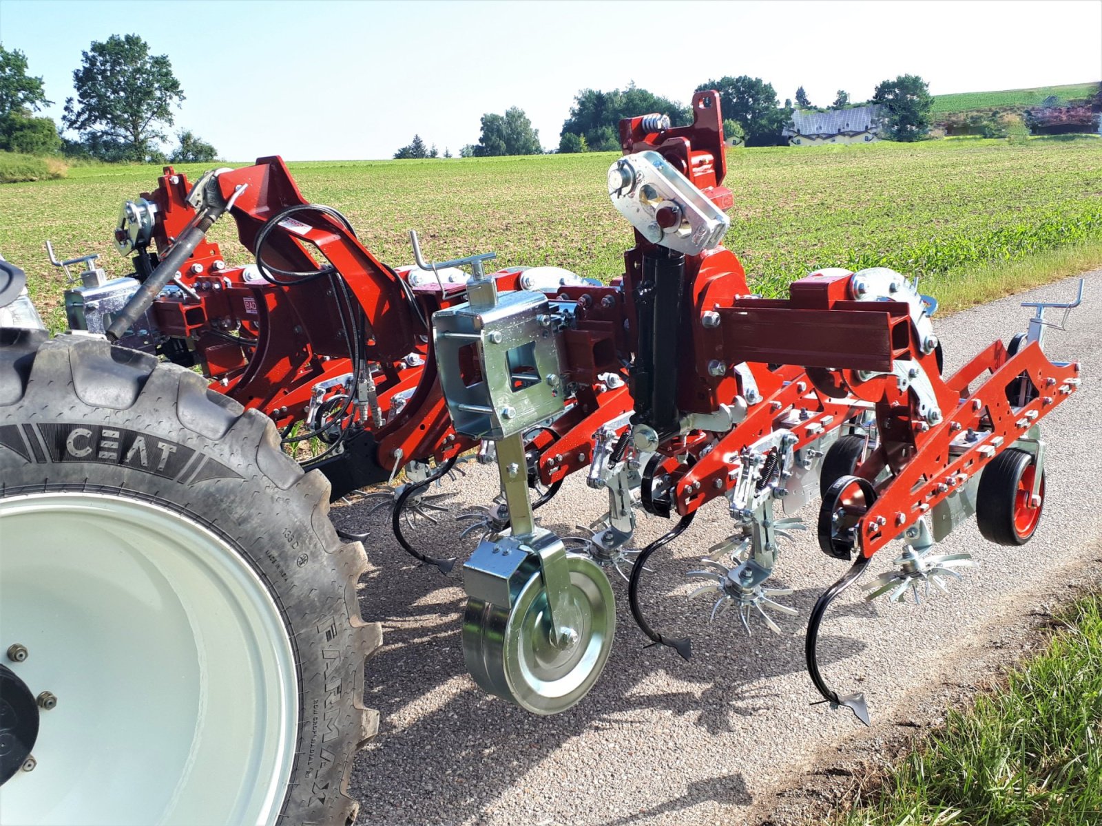 Striegeltechnik & Hacktechnik za tip Badalini Maia Bio Imperial, Gebrauchtmaschine u Laberweinting (Slika 5)