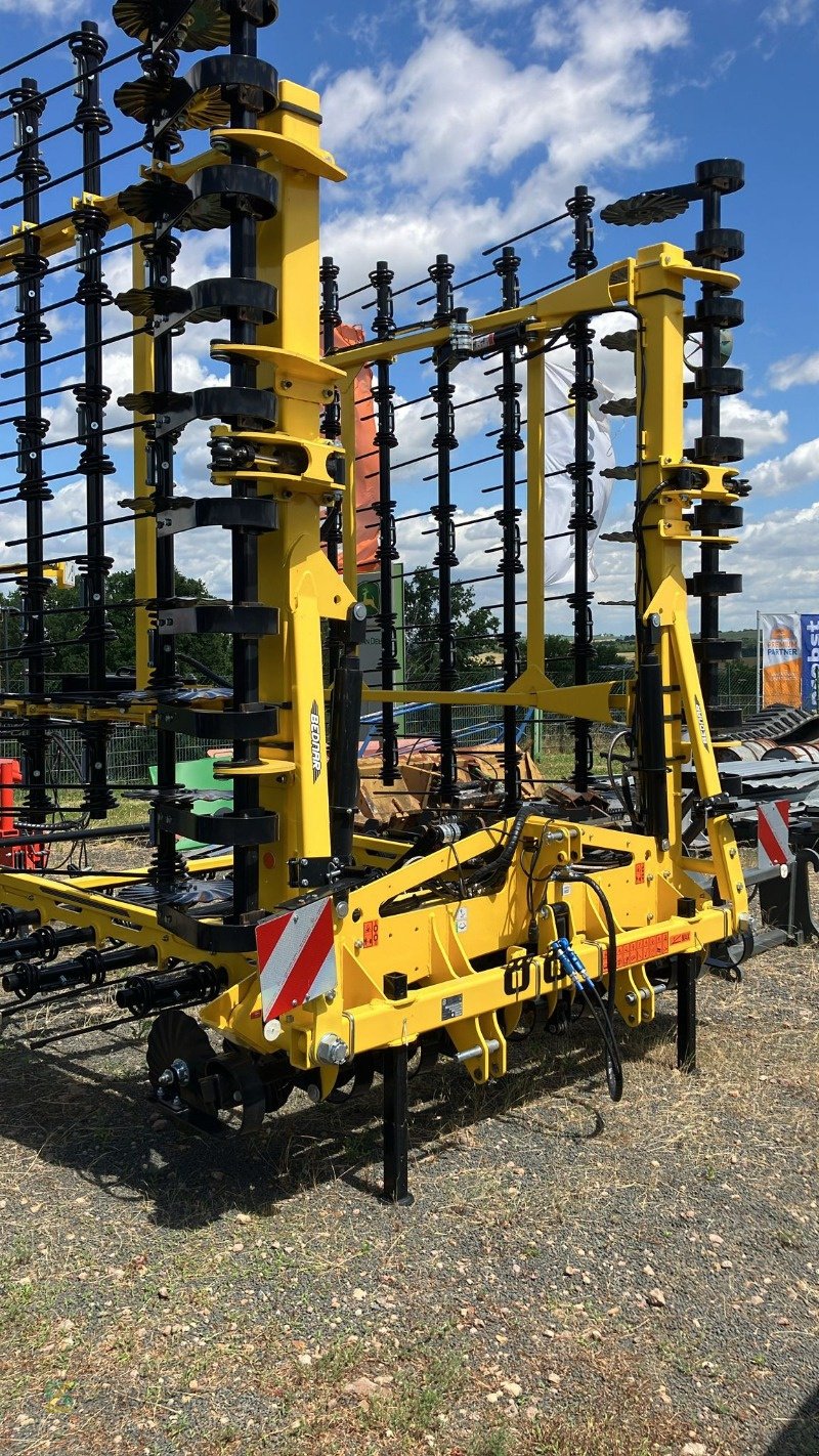 Striegeltechnik & Hacktechnik типа Bednar Striegel-Pro PN 9000, Gebrauchtmaschine в Gerichshain (Фотография 1)