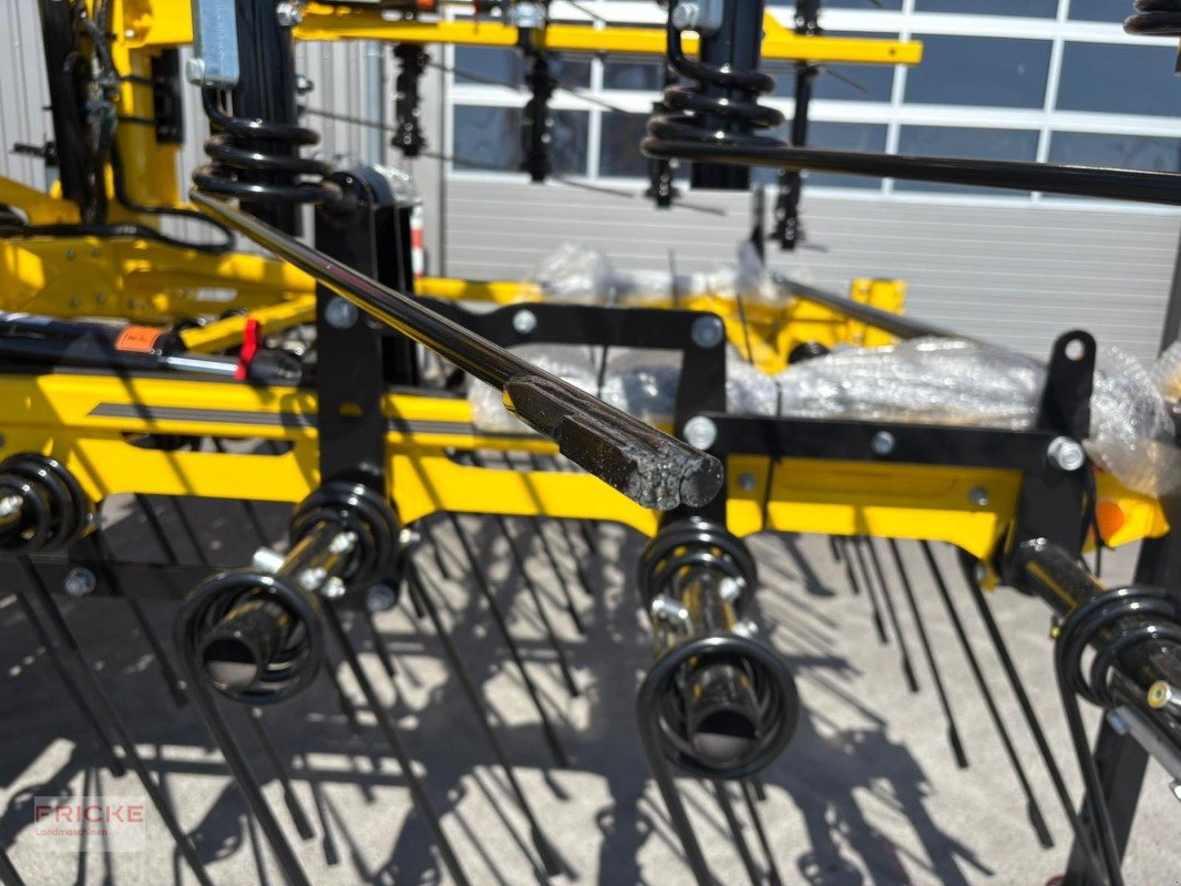 Striegeltechnik & Hacktechnik za tip Bednar Striegel PRO PN 9000, Gebrauchtmaschine u Demmin (Slika 2)