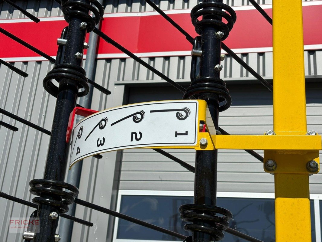 Striegeltechnik & Hacktechnik za tip Bednar Striegel PRO PN 9000, Gebrauchtmaschine u Demmin (Slika 3)